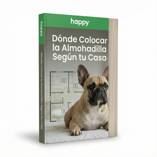 REGALO : Cómo Corregir malos hábitos en casa