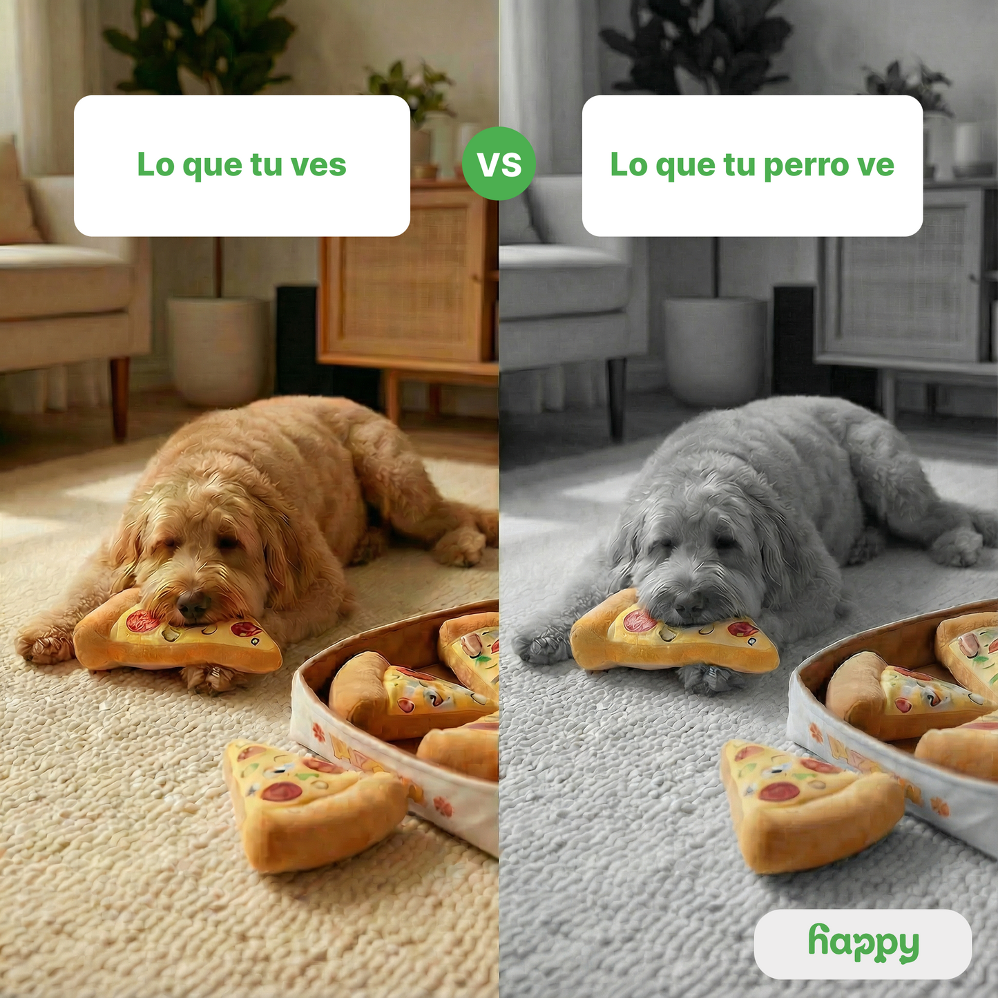 PIZZA™ | Pizza antiestrés