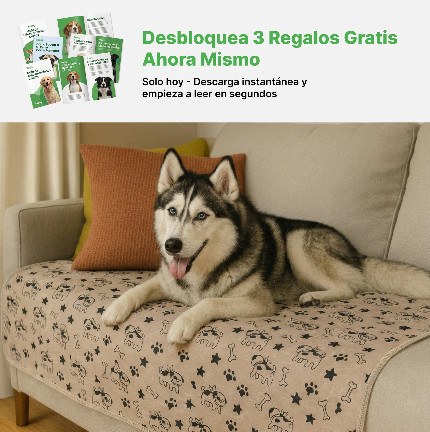 SHELTERPAD™ | La Alfombrilla Reutilizable que Los Perros Usan Sin Entrenamiento