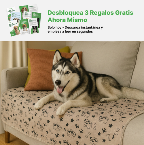 SHELTERPAD™ | La Alfombrilla Reutilizable que Los Perros Usan Sin Entrenamiento