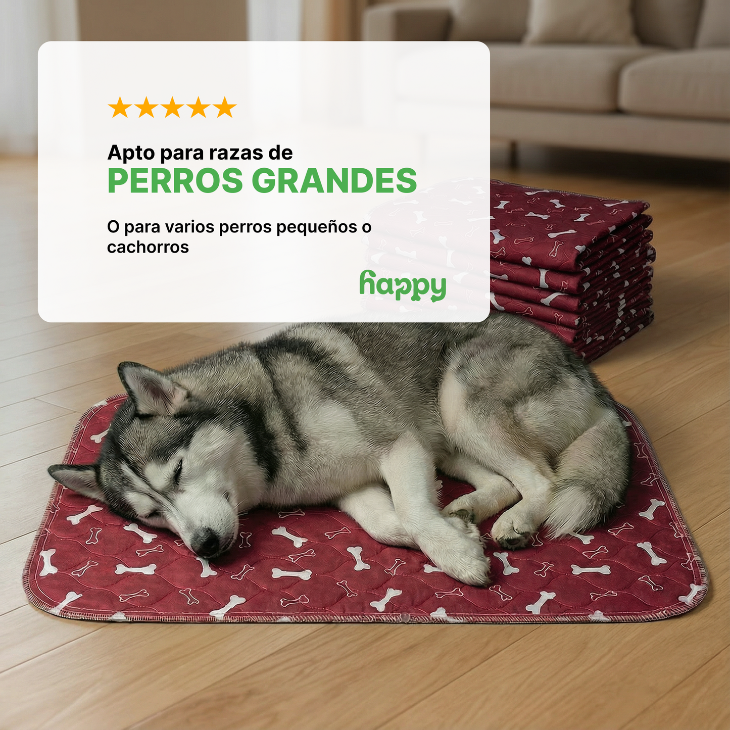 SHELTERPAD™ | La Alfombrilla Reutilizable que Los Perros Usan Sin Entrenamiento