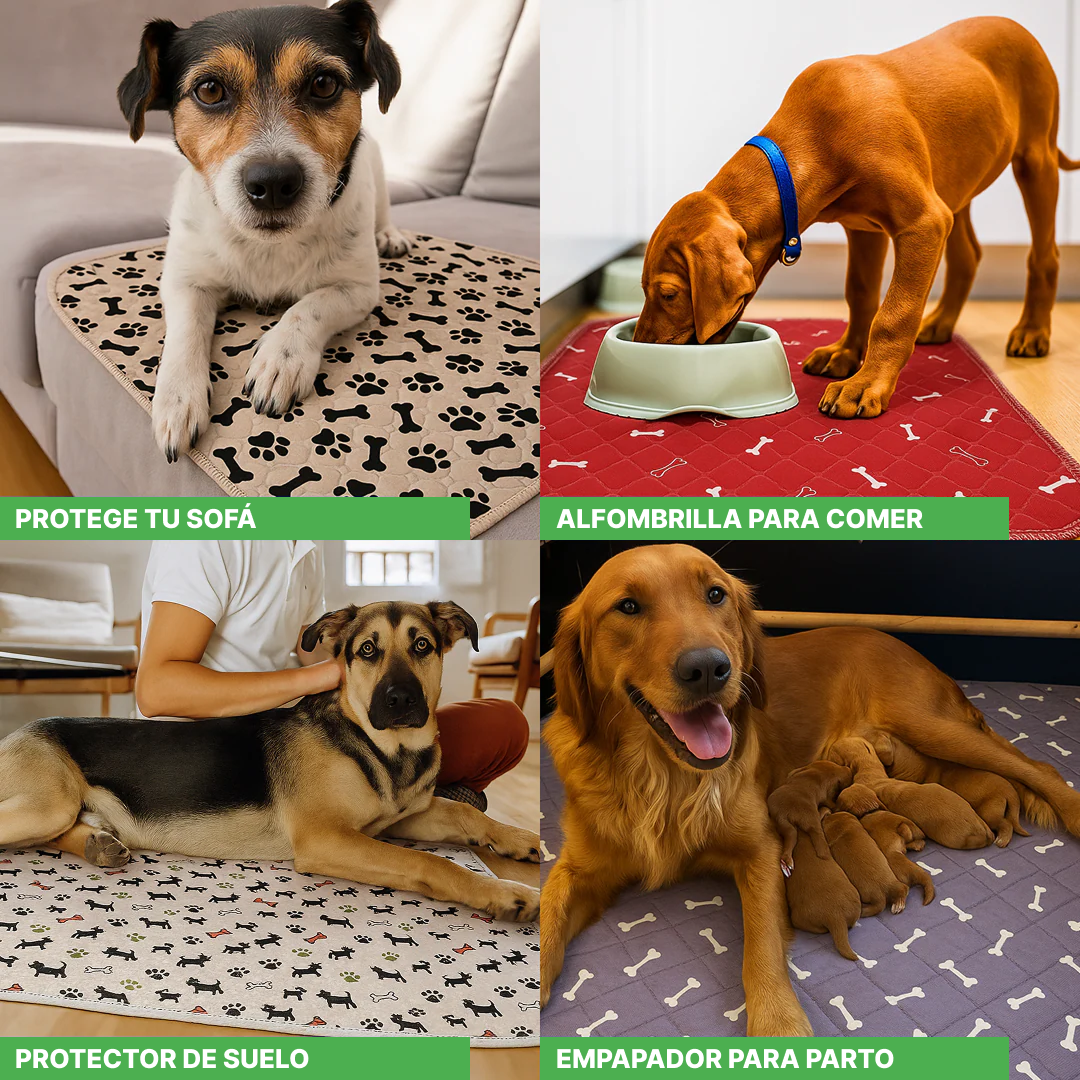 SHELTERPAD™ | La Alfombrilla Reutilizable que Los Perros Usan Sin Entrenamiento