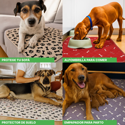 SHELTERPAD™ | La Alfombrilla Reutilizable que Los Perros Usan Sin Entrenamiento